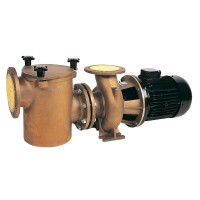 Насос Bombas Saci BR-2 400 с префильтром 64 м3/ч 3,0 кВт 380В, бронза /29101103
