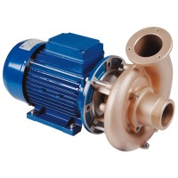 Насос без префильтра (помпа) Hugo Lahme RG 2,6 кВт 380 В, подключение G2 1/2"