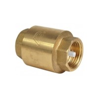 Обратный клапан Pahlen 1"