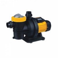 Насос Pool King FCP-S с предфильтром 22,8 м3/ч, Н=12, 1.1 кВт 380 В FCP-1100S(Three)