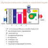 Осушитель воздуха Turkov OS-5200 моноблочный. 14 л/час, 7,2 кВт, для бассейна 85 м2 Фото 2