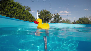 Какой должна быть температура воды в бассейне, термометр утка